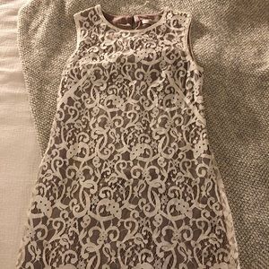Loft Lace Dress